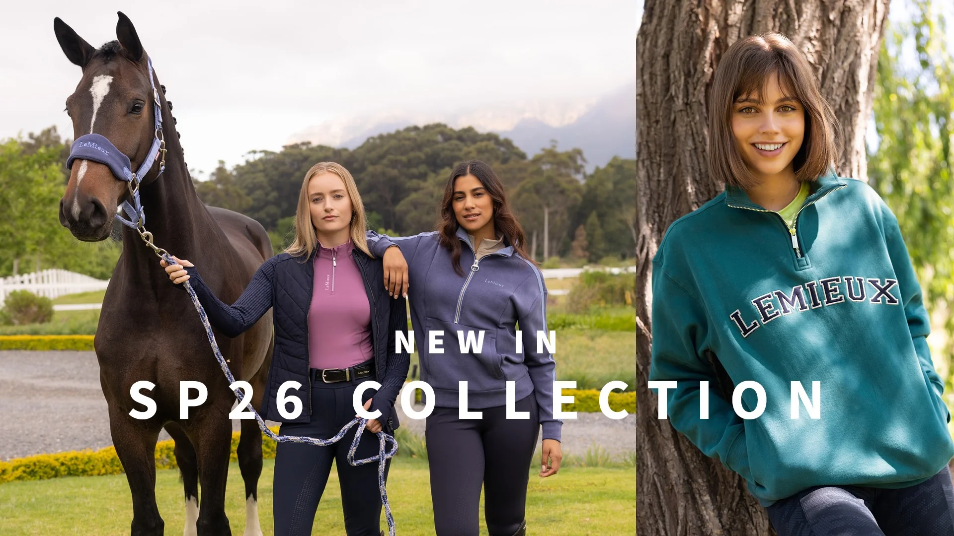 Master Every Ride with Ayr